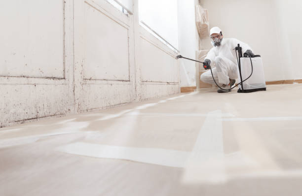 24/7 Emergency Mold Cleanup experts in Houston, PA