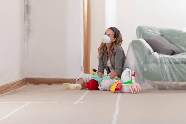 Reliable Mold Cleanup contractor in Houston, PA by Cheap Mold Removal